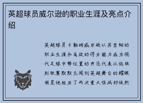 英超球员威尔逊的职业生涯及亮点介绍
