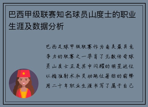 巴西甲级联赛知名球员山度士的职业生涯及数据分析